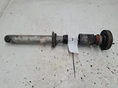 Rear shock absorber/damper