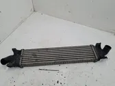 Intercooler radiator