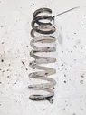 Rear coil spring