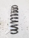 Rear coil spring