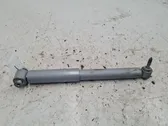 Rear shock absorber/damper