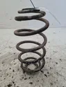 Rear coil spring