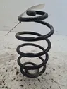 Rear coil spring