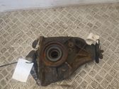 Hinterachsdifferential