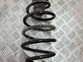 Rear coil spring