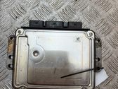 Engine control unit/module ECU