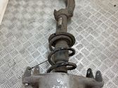 Front shock absorber with coil spring