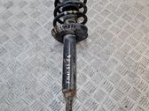 Front shock absorber with coil spring