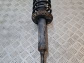Front shock absorber with coil spring