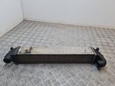 Intercooler radiator