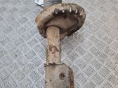Front shock absorber/damper