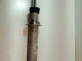 Rear shock absorber/damper