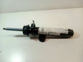 Front shock absorber/damper