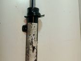 Front shock absorber/damper
