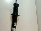 Front shock absorber with coil spring