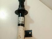 Rear shock absorber/damper