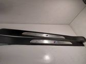 Front sill trim cover
