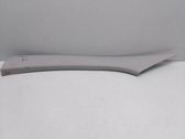 Other sill/pillar trim element