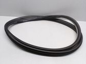 Front door rubber seal