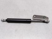 Tailgate/trunk strut/damper