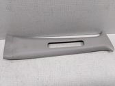 Other sill/pillar trim element