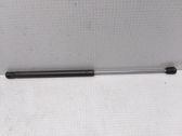 Tailgate/trunk strut/damper