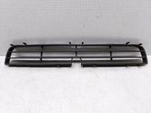 Front bumper lower grill