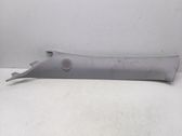 Other sill/pillar trim element