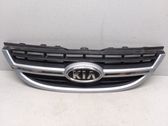 Front bumper upper radiator grill