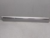 Rear door trim (molding)