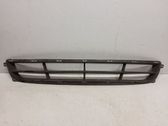 Front bumper lower grill