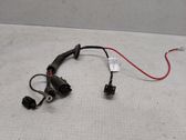 Other wiring loom