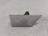 Front fender indicator light