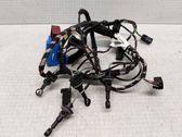 Other wiring loom