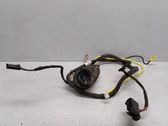 Front door wiring loom