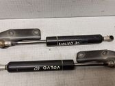 Tailgate/trunk strut/damper