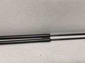 Tailgate/trunk strut/damper