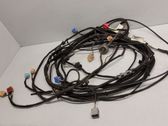 Rear tail light wiring loom