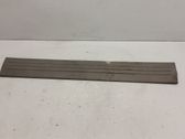Front sill trim cover