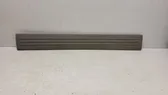 Front sill trim cover