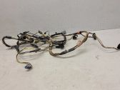 Loading door wiring loom