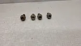 Nuts/bolts