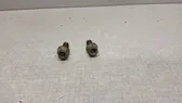 Nuts/bolts