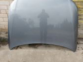 Engine bonnet/hood