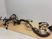 Other wiring loom