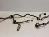 Rear door wiring loom