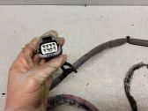 Front door wiring loom