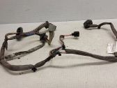 Rear door wiring loom