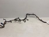 Other wiring loom