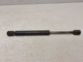 Tailgate/trunk strut/damper